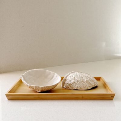 Cuenco de Col Savoy - Biscuit natural