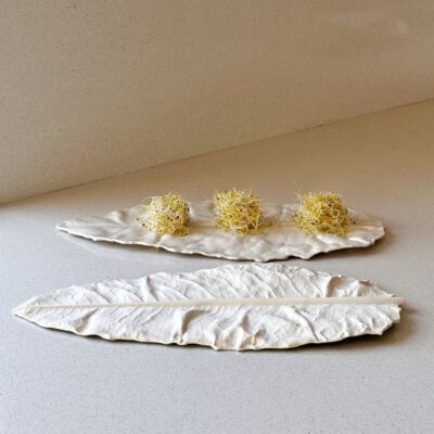 Hoja de Porcelana