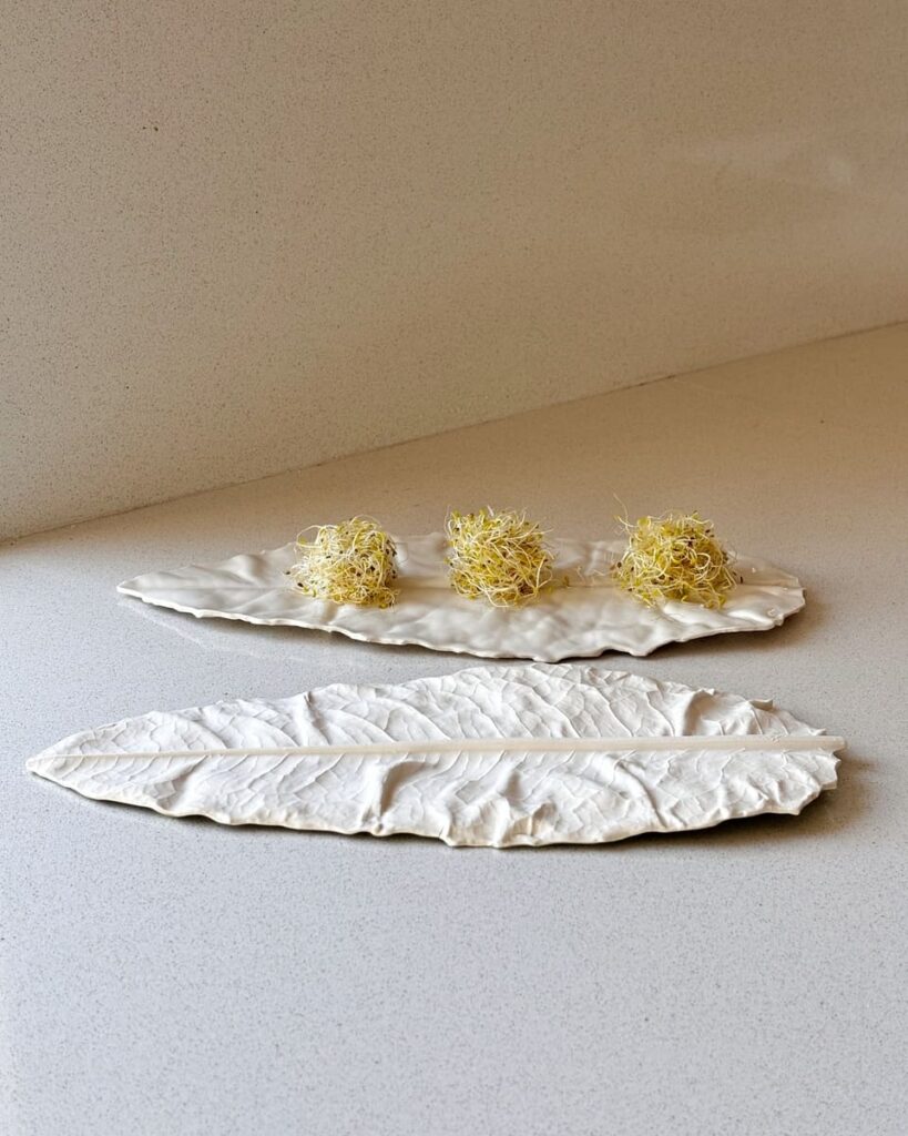 Hoja de Porcelana