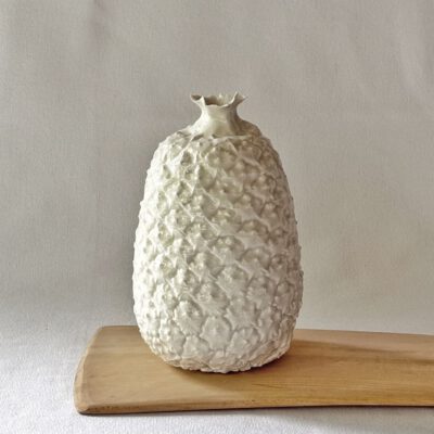 Piña Botánica