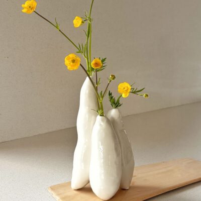 Raíces de Batata Botánica