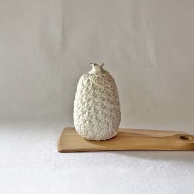 Piña forma botánica