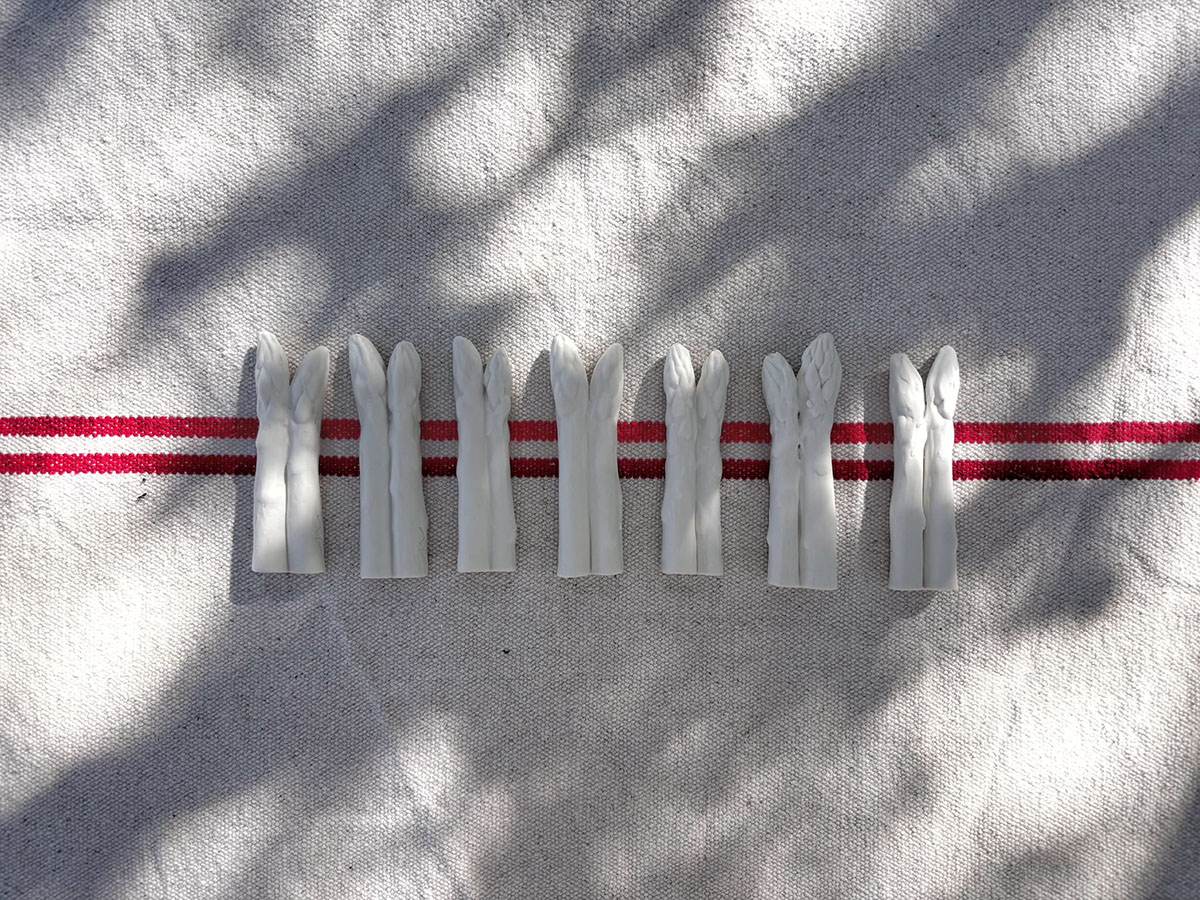 Objetos botánicos, espárragos