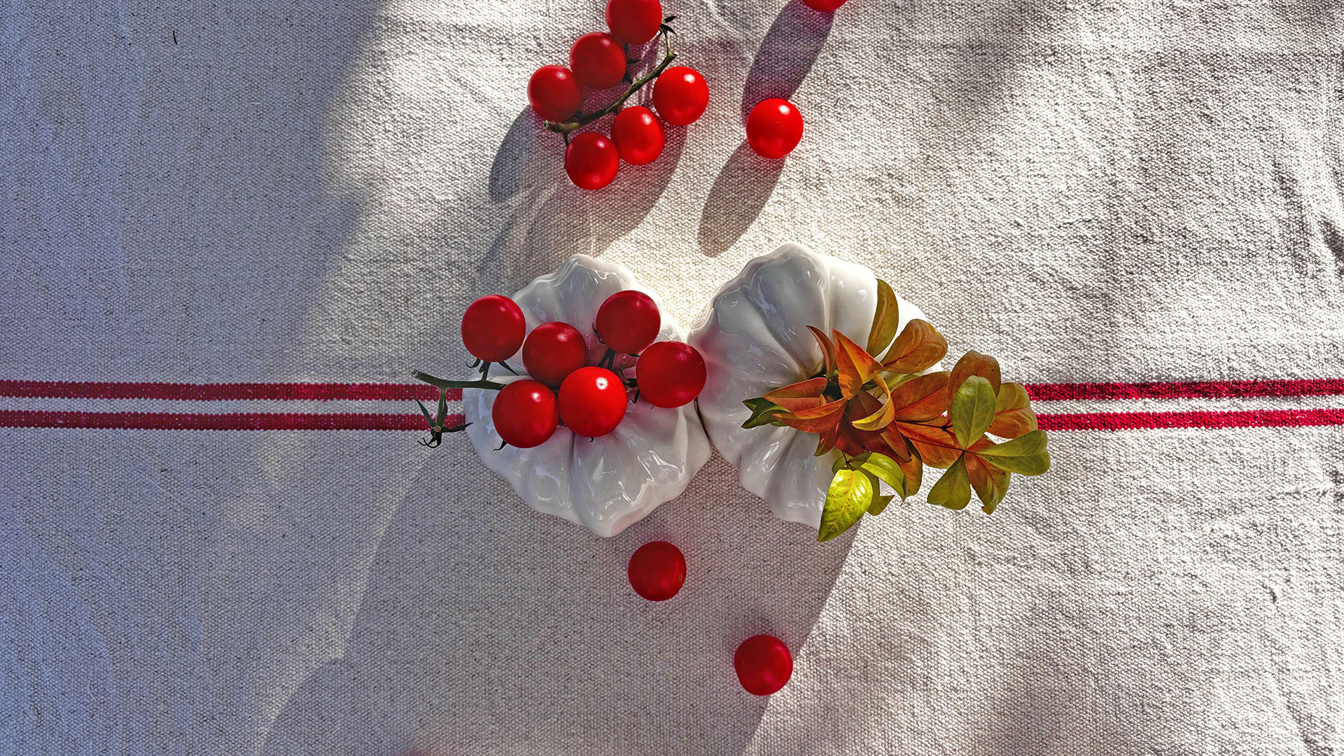 Soportes Florales, tomate