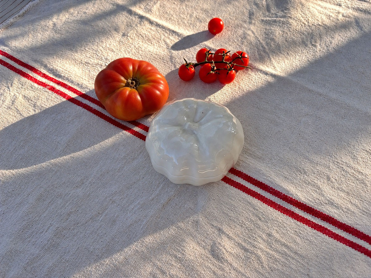 Tomate II, María Vergara Lab