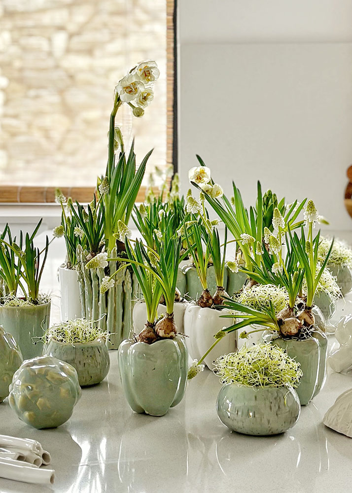 Floral Pieces by María Vergara Lab